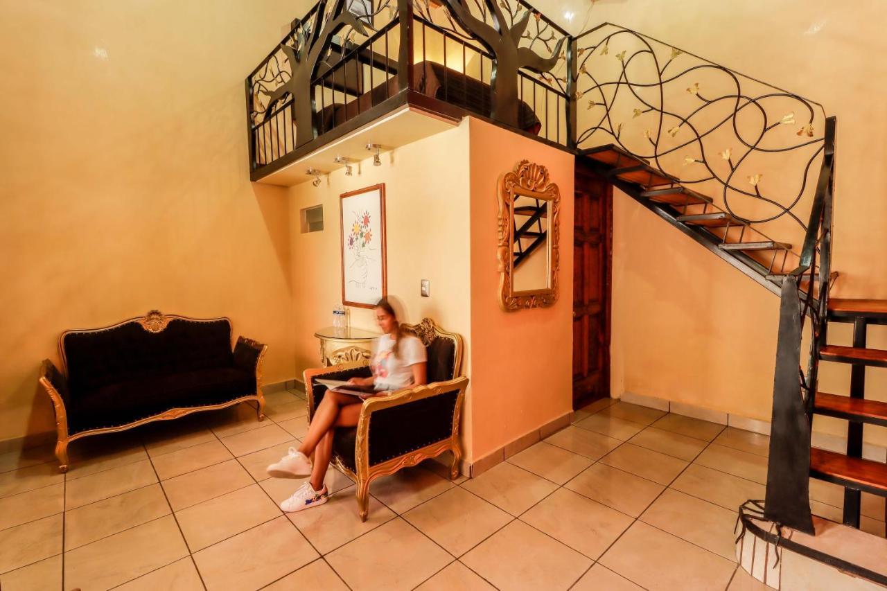 Hotel La Siesta Del Fauno Morelia Eksteriør billede